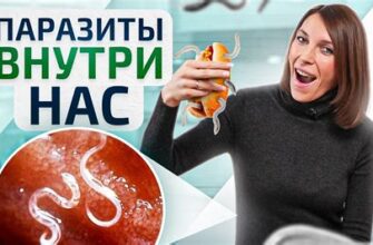 Анализы на паразитов и методы обследования которые работают