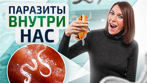Анализы на паразитов и методы обследования которые работают